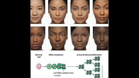 Basics In Gene Mutations Melanin Cant Completely Protect You Youtube