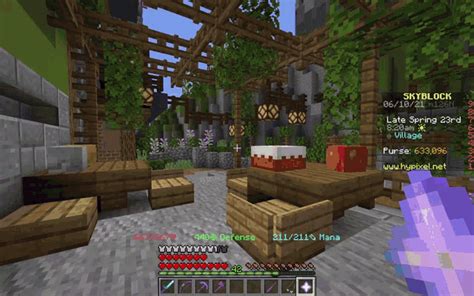 Skyblock Hypixel  Skyblock Hypixel Api Discover And Share S
