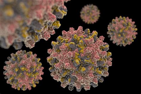 Hepatitis b in adults will usually pass within 1 to 3 months. CpAM molecules advance fight against hepatitis B