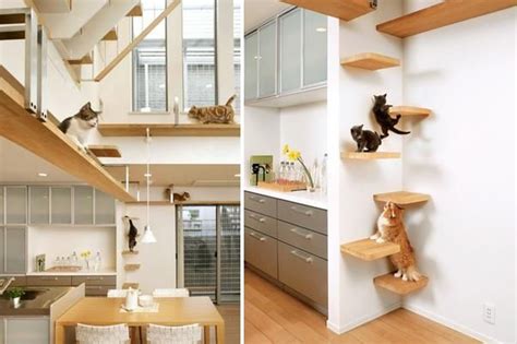 The Ultimate Cat Friendly Homes Cat House Diy Cat Shelves House