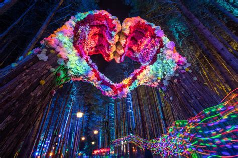 Save The Date Electric Forest 2023 Dates Announced Alltime Edm
