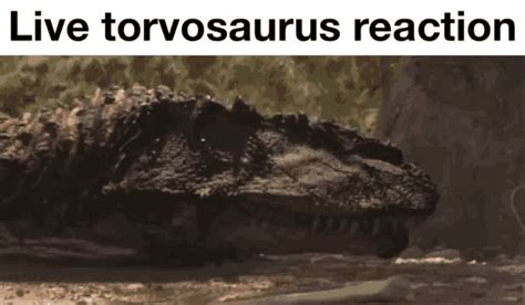 Dinosaurs Dinosaur Meme Gif Dinosaurs Dinosaur Meme Dinosaur Revolution Discover Share Gifs