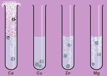 The acids will either be · i could use an excess of acid and change the concentration, this would not require the reaction to be completed so i would have to time how long it. Metals chapter - WGHS Junior Science