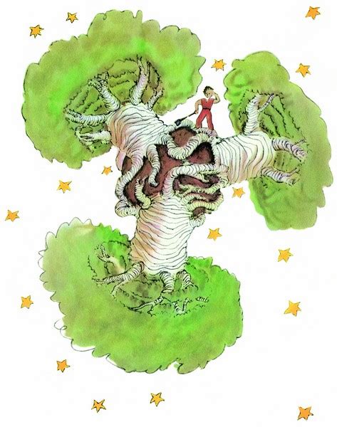 Ensuite ils ne peuvent plus bouger et ils dorment pendant les six mois de leur digestion». Le Petit Prince prend soin de sa planète depuis 1942 - Le ...