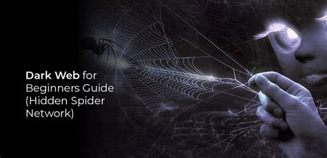 Dark Web For Beginners Guide Hidden Spider Network