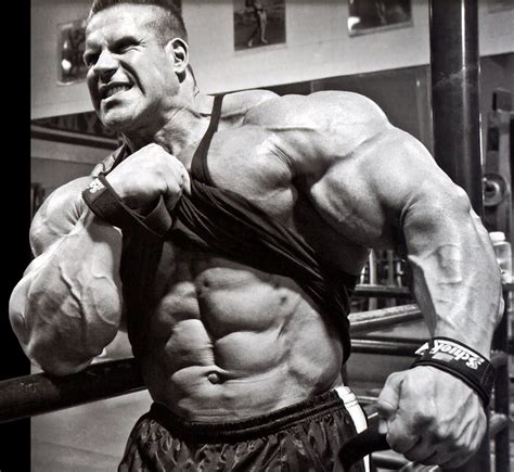Stock video footage | 3766 clips. Bodybuilding Wallpapers - Top Free Bodybuilding ...