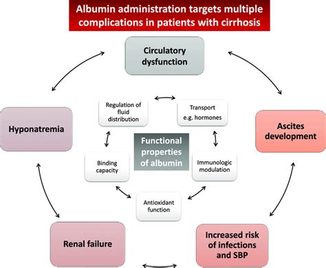 Functional Properties Of Albumin And Potential Uses For Cirrhosis