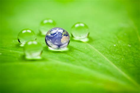 Planet Earth Waterdrop Leaf Water Green Drop Globe Environment Stock