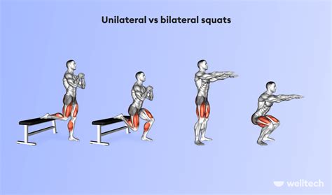 10 Types Of Squats To Spice Up Your Workout And Their Benefits Welltech