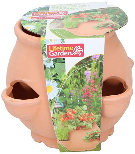 Lifetime Garden 5 In 1 Grow Your Own Herb Terracotta Planter Pot