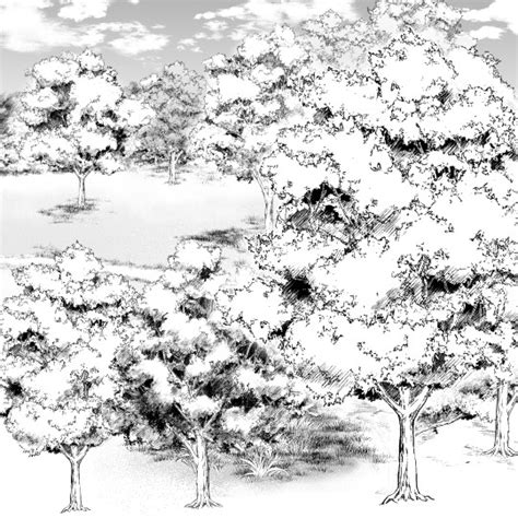 Draw Tree Manga Manga