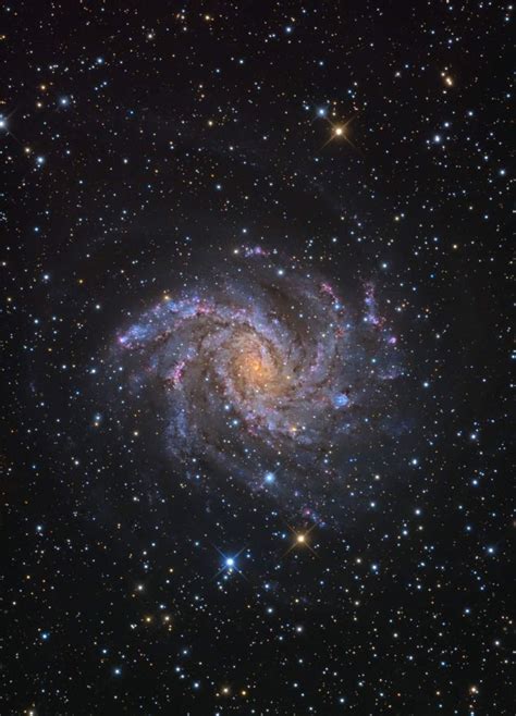 Pin By Gary Zajac On Astronomical Galaxy Ngc Astronomy Pictures
