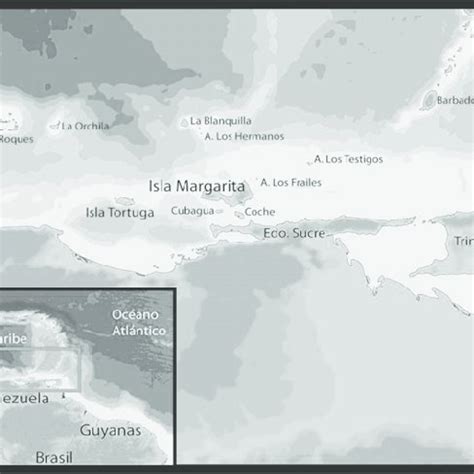 Er hisste die flagge der vereinigten staaten und nannte die insel new columbia. (PDF) Estructura de talla de 20 especies de peces ...