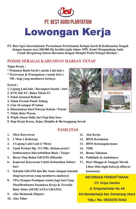 Ini juga menunjukkan masih banyak lulusan sekolah menengah pertama yang tidak melanjutkan ke jenjang. Lowongan kerja tanpa ijazah - Home | Facebook