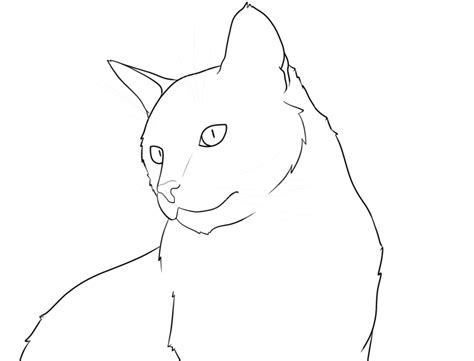 Drawing lessons drawing techniques drawing tips drawing sketches drawing ideas sketching cat sketch realistic cat drawing gesture drawing this is a line art of a wild cat. How To Draw House Floor Plans 2020 - Home Comforts