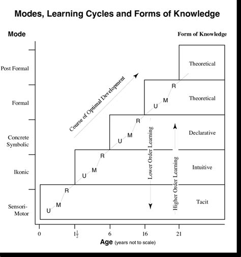 The Solo Model Modes Learning Cycles And Forms Of Knowledge Adapted