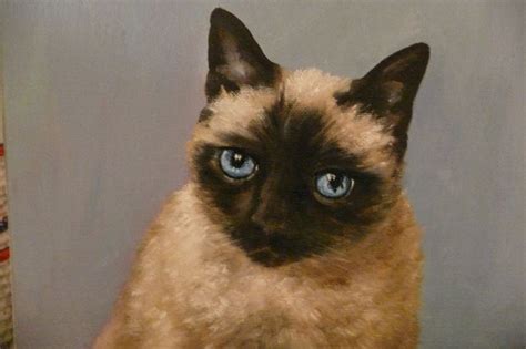 Siamese Cat Portrait Oil On Canvas Animal Paintings Cat Portraits