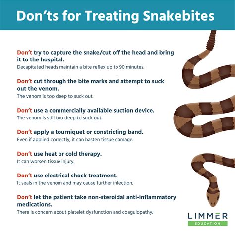 Back To The Basics Snakebites Limmer Education Llc