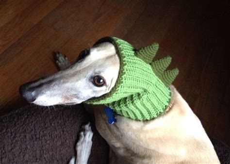 Puppy pet cat dog sweater jacket knitted coat for small dogs winter warm clothes. Made to Order - Dinosaur Snood Hat for Dogs - Crochet on ...