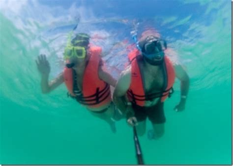 Snorkeling Off The Coast Of Loreto In Mexicos Baja California Desk