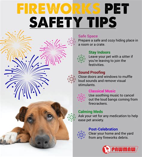 How To Keep Your Pet Safe From Fireworks