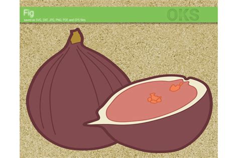 Download fig svg, fruit svg files, vector, clipart, cricut ...