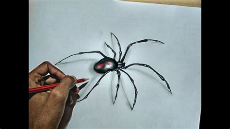 How To Draw 3d Spider Optical Illusion Drawing Video Artistry Of
