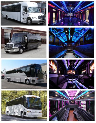 Pete beach suites offers complimentary wifi in all areas of the hotel. Party Bus St Pete Beach, FL (10 Cheap Party Buses For Rent)