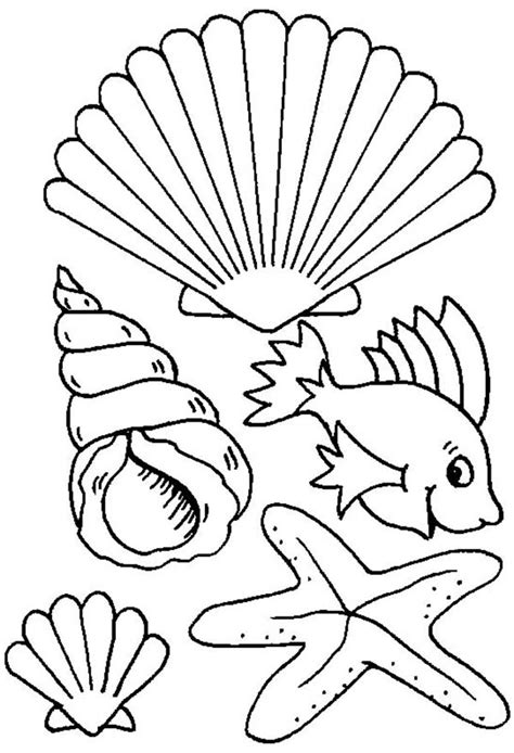 Let's dive into the deep blue! Different Types Of Sea Creature And Seashell Coloring Page ...