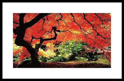 Boston Massachusetts Autumn Colors 03 Framed Print By Am