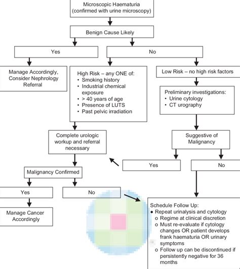 A Suggested Algorithm For The Diagnostic Approach To Microscopic