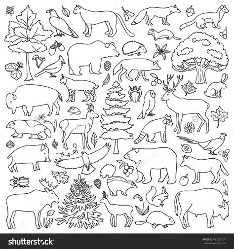 Forest Animals For Coloring Coloring Pages