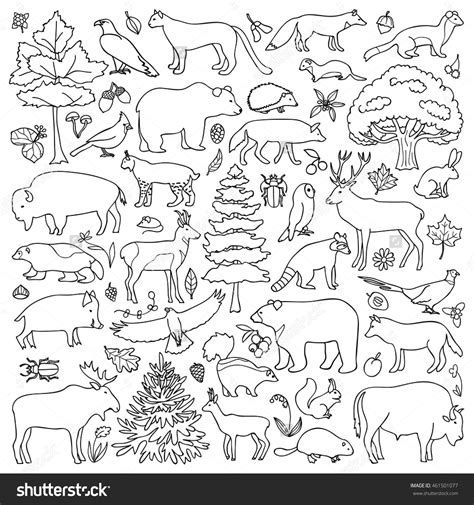 Next we added some north american animals the habitat sensory bin was a lot of fun for my young homeschoolers to explore and learn the same animal habitats worksheets to complete with circle stickers. Forest Coloring Pages at GetColorings.com | Free printable ...
