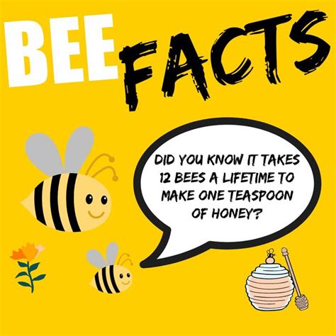 Do The Waggle Dance Bee Facts Bee Facts For Kids Bee Activities