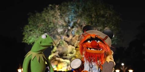 The Muppets Make A Surprise Disney Park Debut Inside The Magic