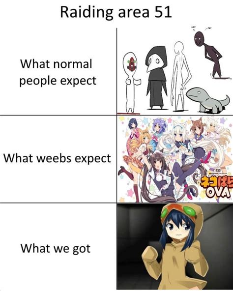 Anime Meme 批評 1 Anime Amino