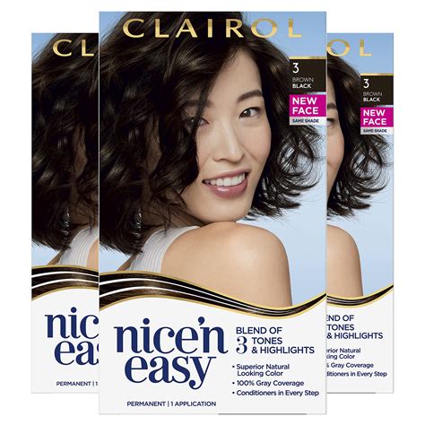 Buy Clairol Nicen Easy Permanent Hair Dye 3 Brown Black Hair Color Pack Of 3 Online At