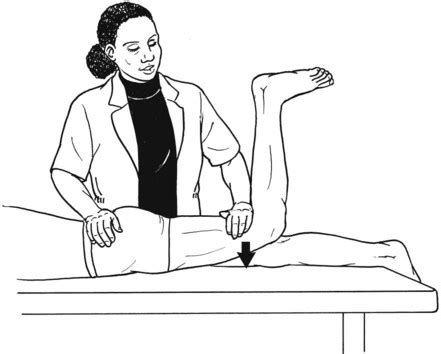 Testing the Muscles of the Lower Extremity | Musculoskeletal Key