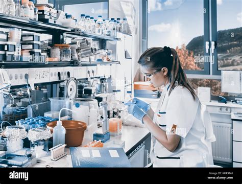 Young Scientist Works In Modern Biological Lab Toned Image Stock Photo