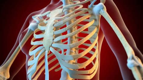 What Is Rib Pain Its Symptoms And Causes