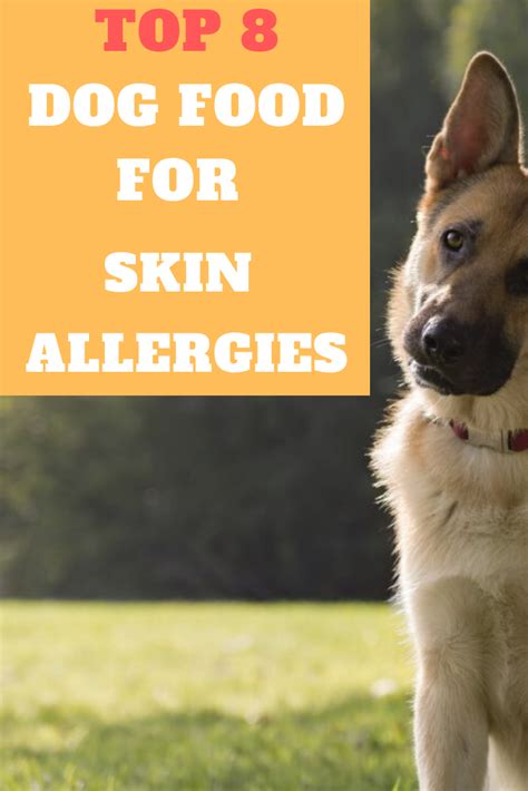 Symptoms of food allergies in dogs. Best Dog Food For Skin Allergies In 2020 in 2020 | Dog ...