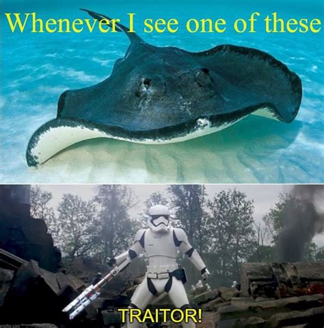 See, rate and share the best samsung memes, gifs and funny pics. The best traitor memes :) Memedroid