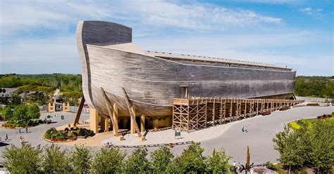 Gopher Wood The Mystery Of The Arks Timber Answers In Genesis Noah