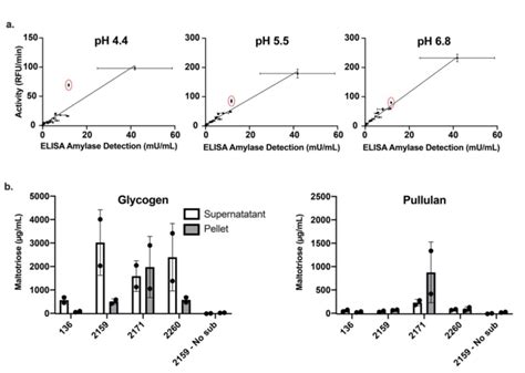 Human Cvls Samples Contain Human And Microbial Amylase Activity A