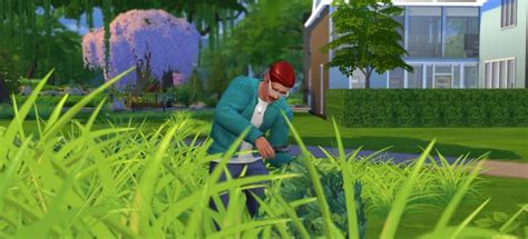 Sebelum membahas tentang pack, mari. Los Sims 4: Mega Guía de Jardinería rápida - Mods Sims 4