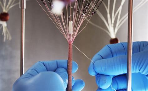 Artificial Blood Vessels Impact Lab