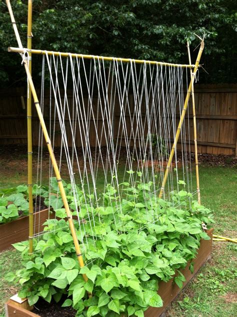 Diy Trellis For Snap Peas In Small Spaces Pictures Anya Diys