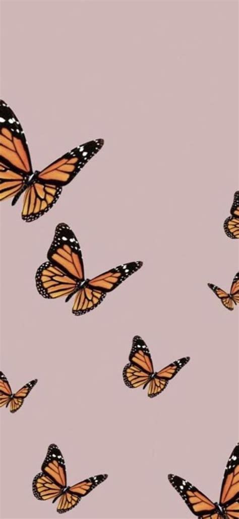 Cute Butterfly Wallpaper In 2020 Butterfly Wallpaper Phone Wallpaper