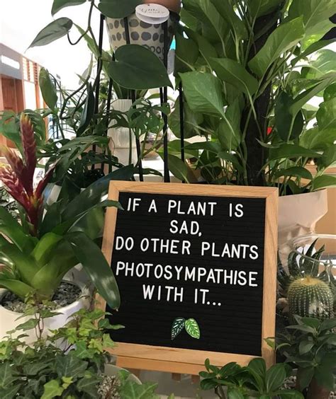 Humorous Plant Lovers Quote Garden Gardeners Gardeningtools