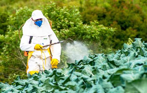 Down On The Farm A Commentary On A Recent Epa Policy On Insecticides